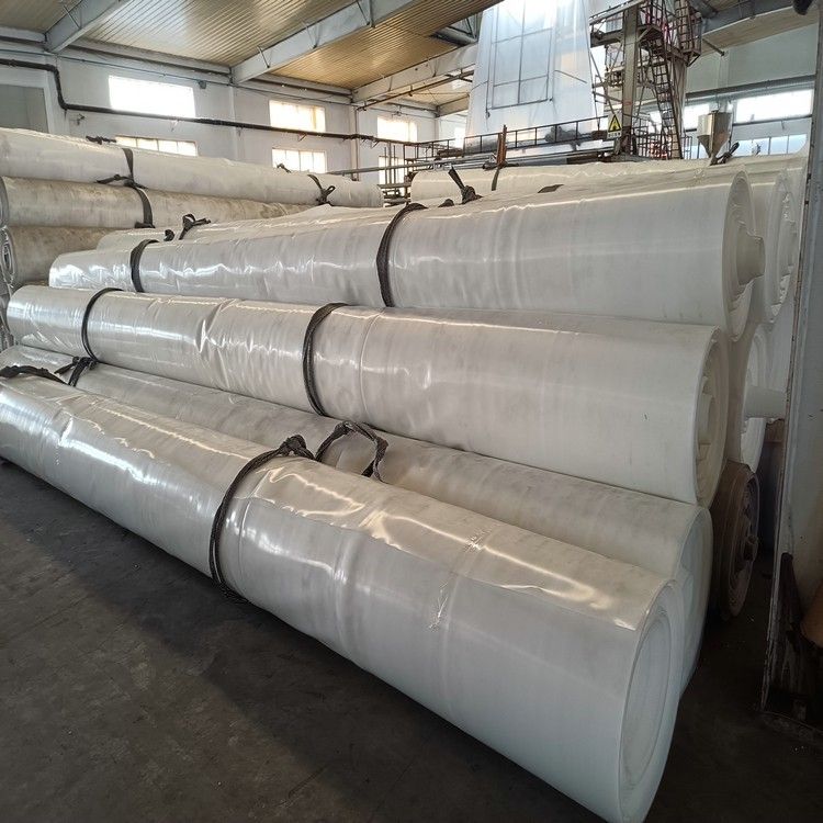 membranes